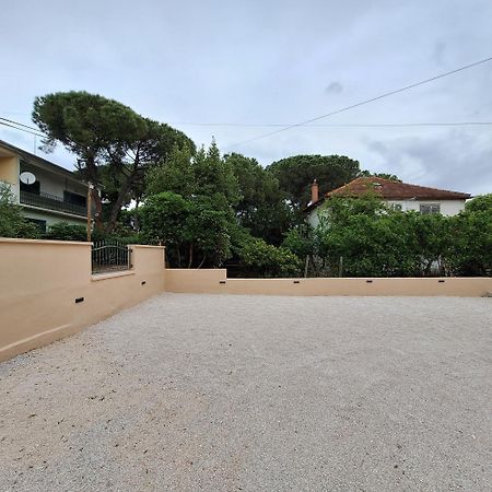 Apartments Elena & Lana Zadar Eksteriør bilde